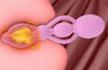 anal beads guide