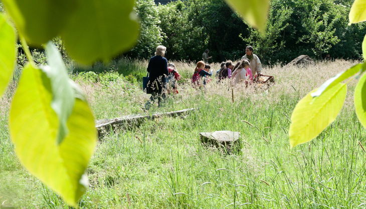 sommer bausmuehle natuerlich lernen solingen