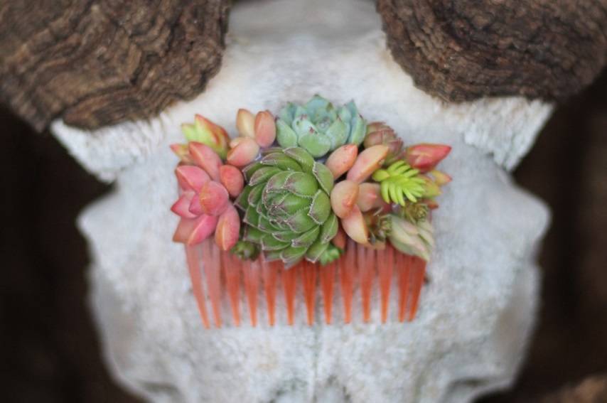 succulent combs hair bride accent succulents