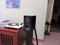 Totem Acoustics Mite Stand Mount Speakers 4