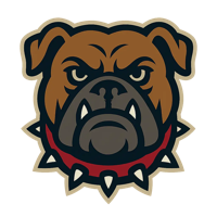 Logo Example