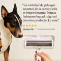 Cama de perro