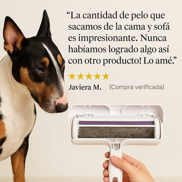 Cama de perro