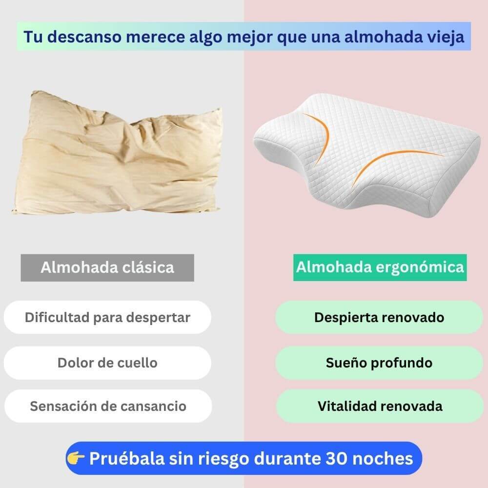 Oreiller Orthopedique, Oreiller Memoire de Forme, Coussin Cervical, Oreiller Ergonomique, Coussin Memoire de Forme, Oreiller Cervical