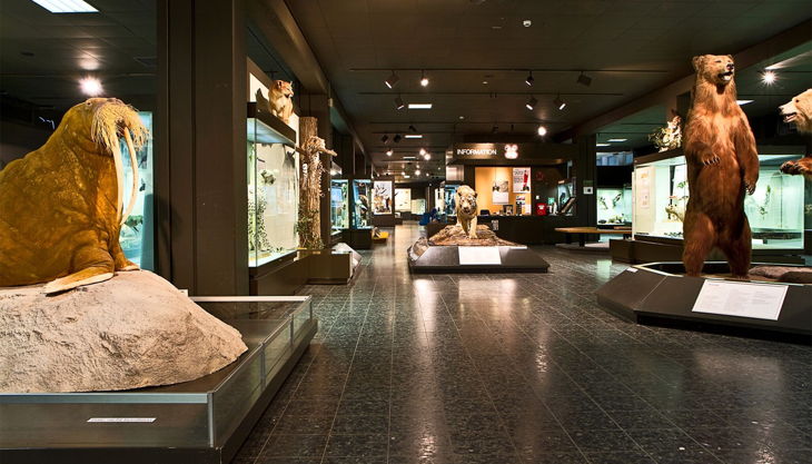 zoomuseum