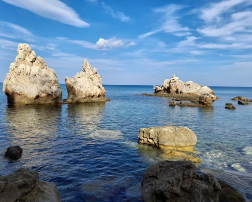 Corsi di cucina Altavilla Milicia: Esperienza culinaria immersi nel profumo del mare