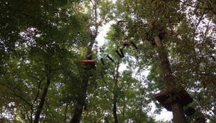 treetree hohe wackelbrücke