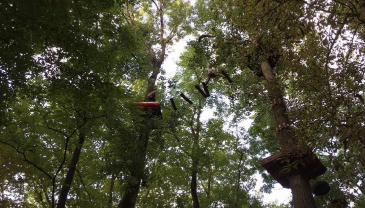 treetree hohe wackelbrücke