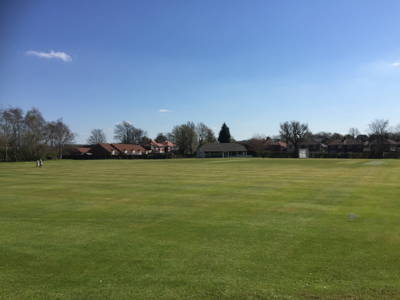 Hazel Grove Cricket Club Cricket Club Logo