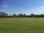 Hazel Grove Cricket Club logo