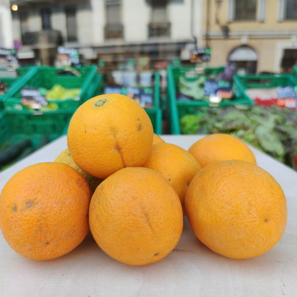 oranges-navel-bio
