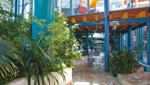 bg wonnemar wismar innerer gang pflanzen hochsteg