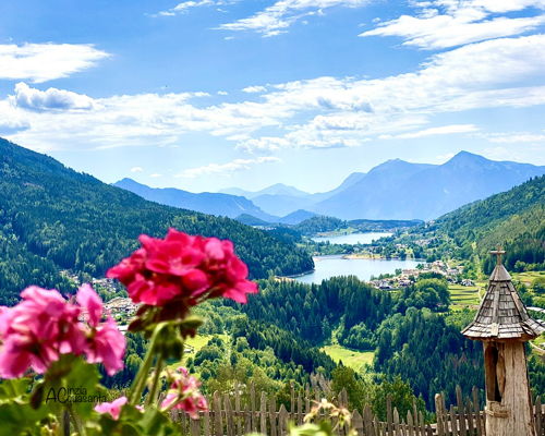 Food & Wine Tours Baselga di Pinè: Hike to the Mountain Pasture: Nature, Food, and Tradition
