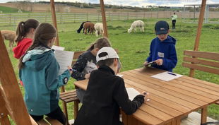 alpaka kindergeburtstag