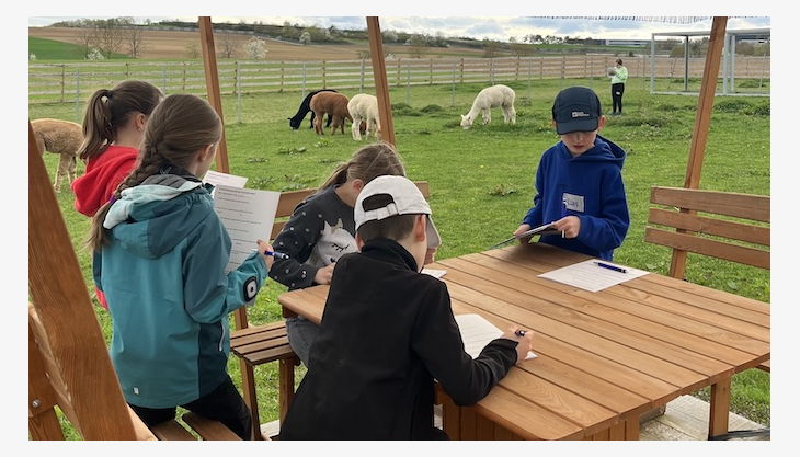 alpaka kindergeburtstag