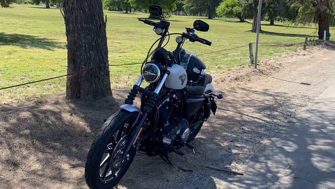 HARLEYDAVIDSON XL883N IRON 883 for rent near Visalia, CA