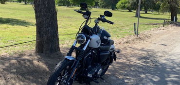 2020 HARLEY-DAVIDSON XL883N IRON 883 motorcycle for rent near Visalia, CA