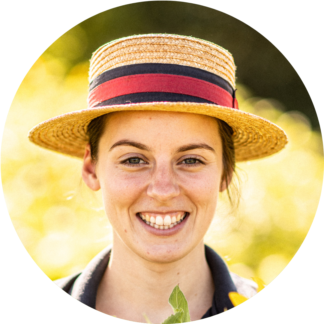 Learn With Experts Learn With Experts
