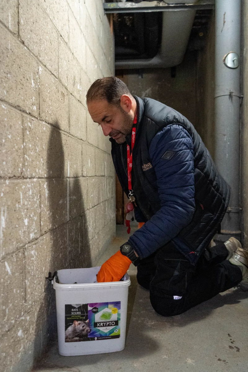 Dératisation : le suivi, gage d'efficacité durable