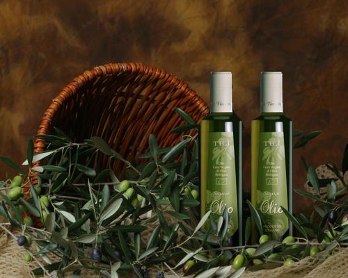 Food & Wine Tours Assisi: Taster for a day: the art of olive oil