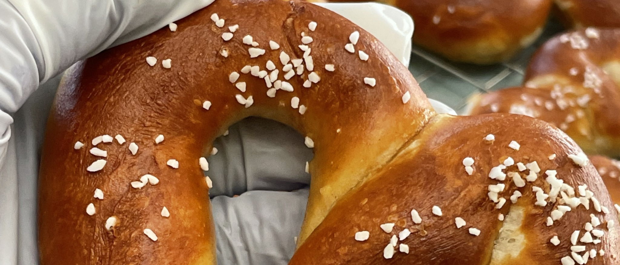 DAS_BROTKOERBCHEN • German Microbakery — photo from hotplate.com