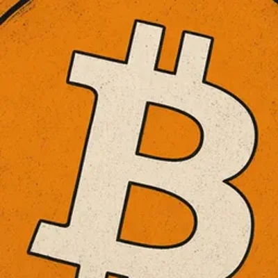 Bitcoin Maximalist (Bitcoin Twitter, Austrian economics) avatar