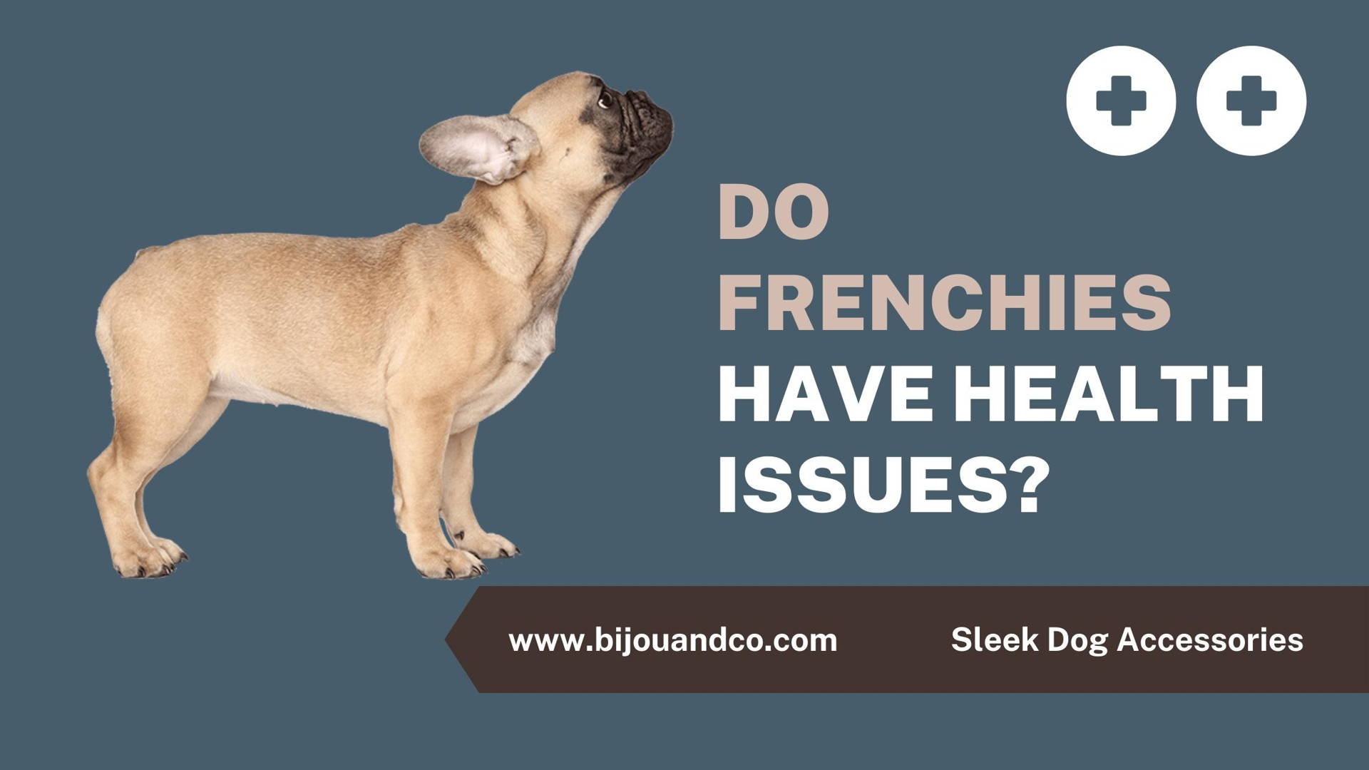 do french bulldogs have health issues