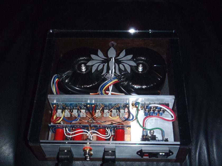 Lotus Aum amplifer patek clone with custom build the last one (Blackgates)