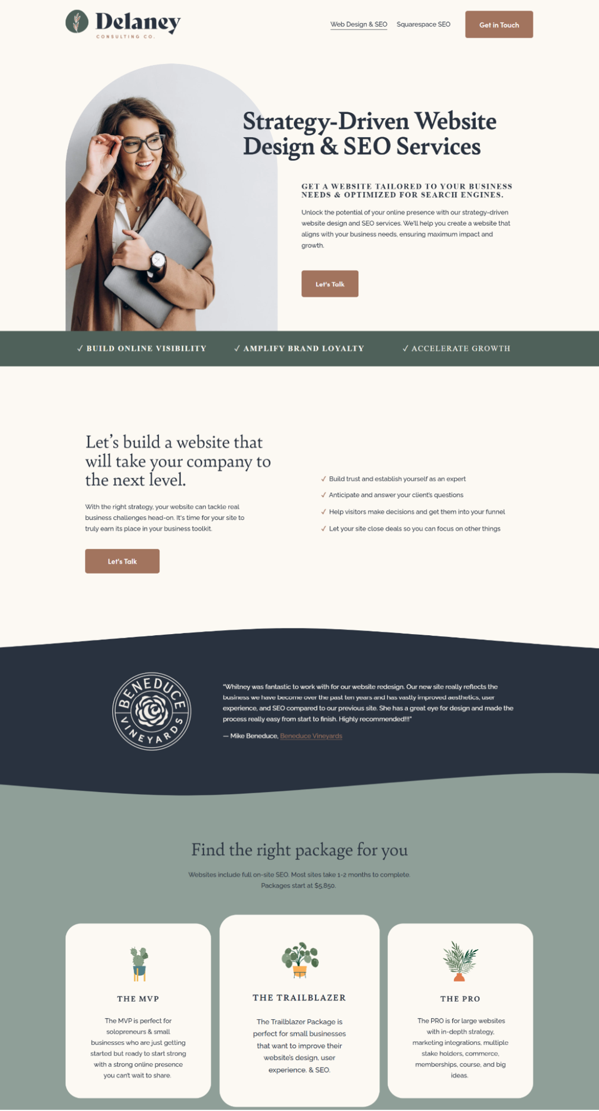 Screenshot of Delaney Consulting Co, from the service page design examples collection.