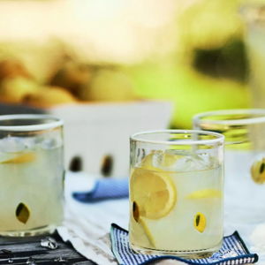 Icon Juice Glasses