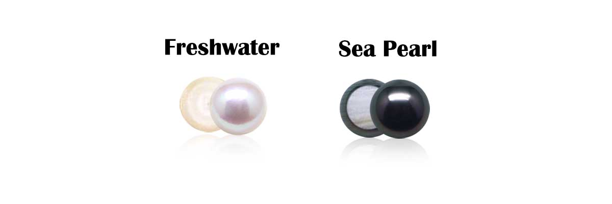 Freshwater versus Sea Pearl Nacre