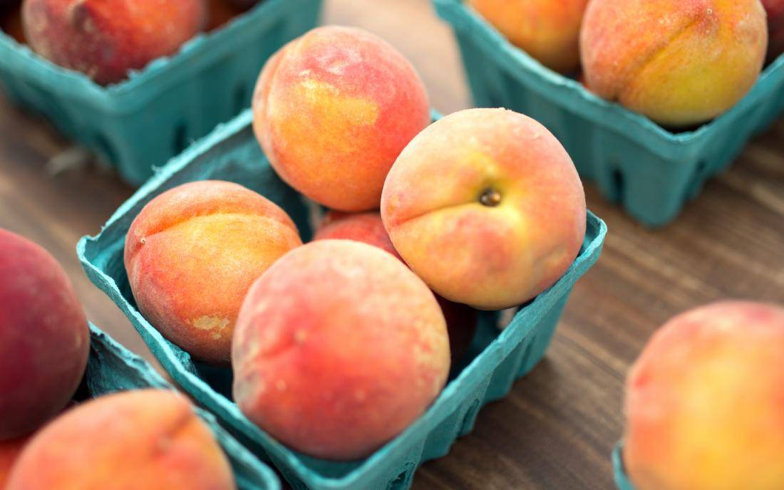 peaches are low in calories for dogs