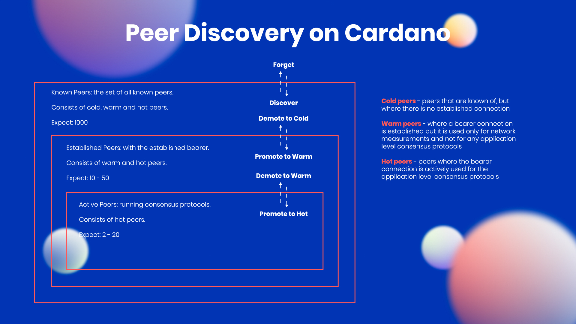 cardano peer discovery