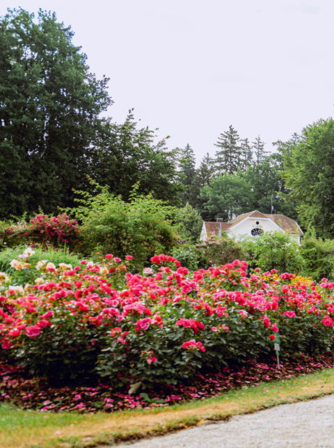 Ein Pärchen in Fahrradkleidung radelt auf einem Kiesweg umgeben von Bäumen, Büschen und pinken Blumen.