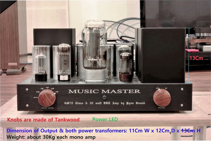 Pyon Sound GM70 Music Master Mono Amp 30-watt SE Triode...