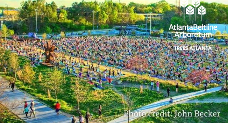 Tree Tour: Health, Wealth, and History on the Atlanta Beltline Arboretum Eastside Trail