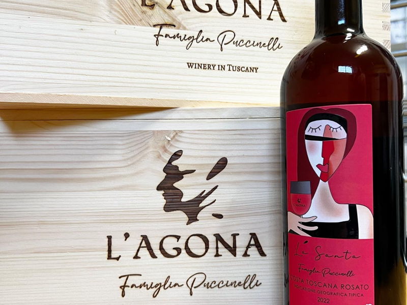 Food & Wine Tours Terricciola: Terricciola: Winery tour with tasting of 3 wines