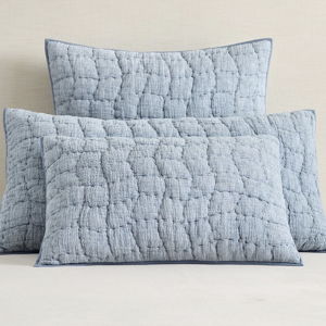 Pottery Barn Cloud Quilt Sham (Set of 2)