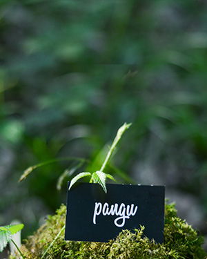 Sustainability
