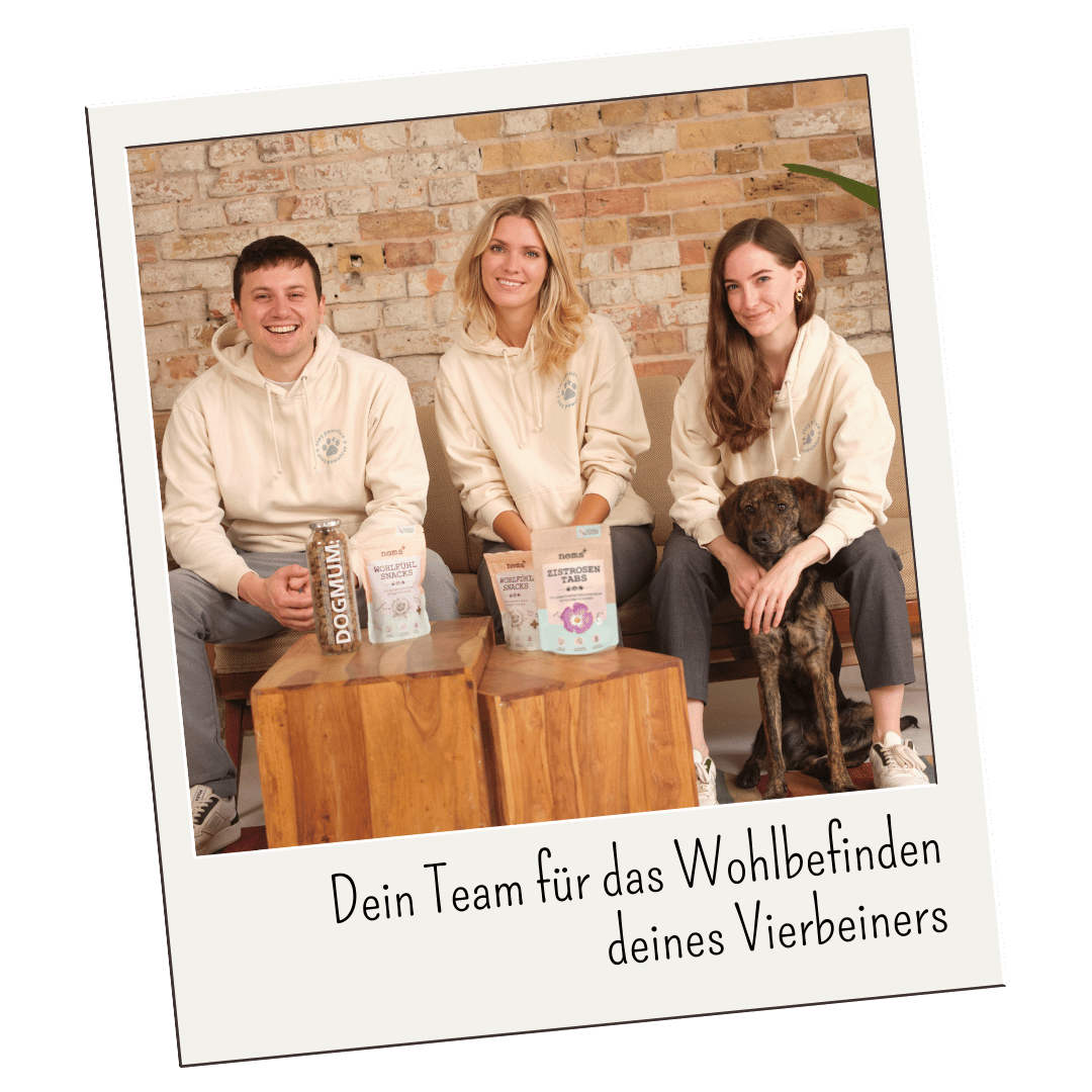 Das noms+ Team: Sunna, Lukas und Sarah