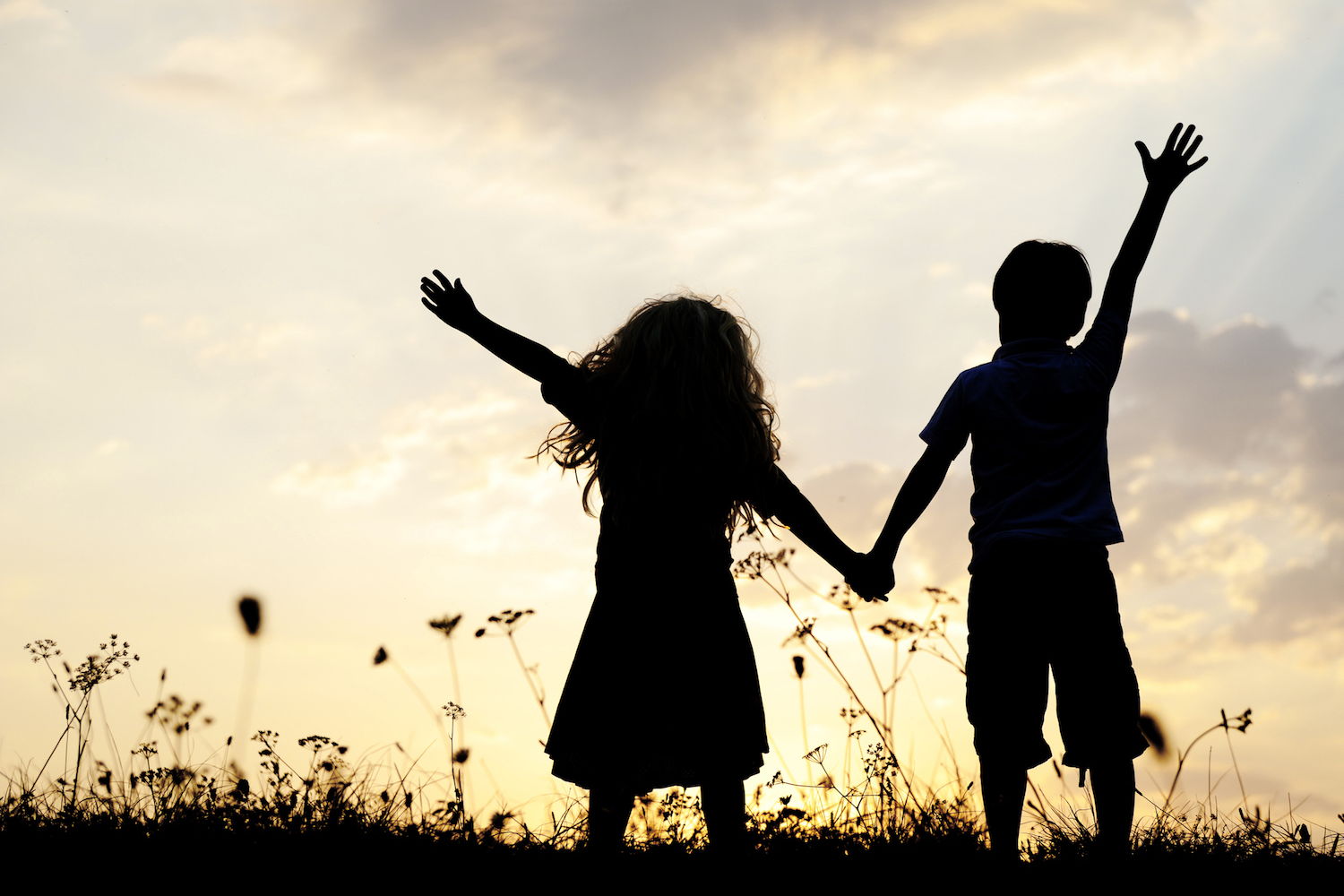Two children silhouetted in front of a blue sky holding hands in a field of flowers.