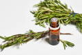 plant therapy essential oils