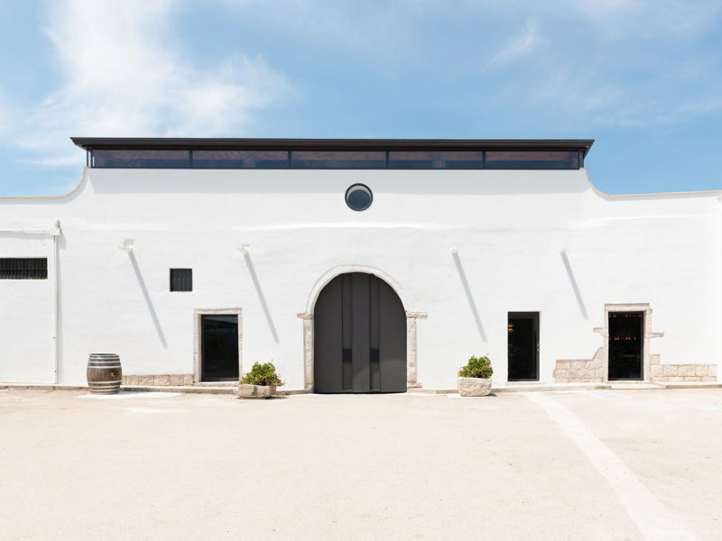 Food & Wine Tours Cerignola: Tasting in Masseria of organic wines and vegetable preserved