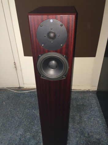 Totem Acoustics Sttaf Minitowers (Mahogany) - Price Red...