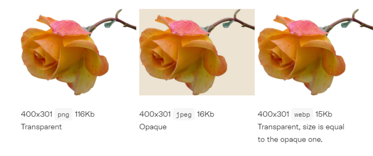 Lossless image compression. Quality over page speed? | Uploadcare