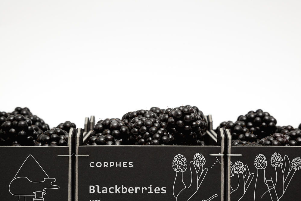 Corphes_Blackberries_09.jpg