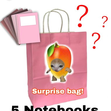 5 Surprise Notebooks!