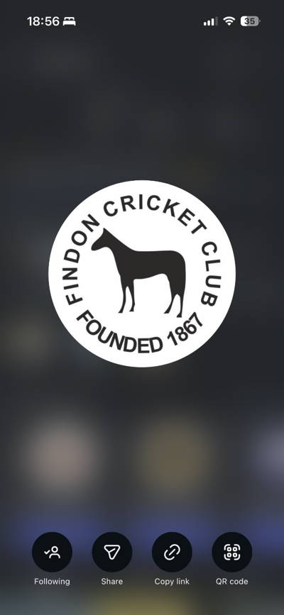 Findon Cricket Club Cricket Club Logo