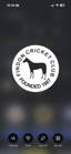 Findon Cricket Club logo