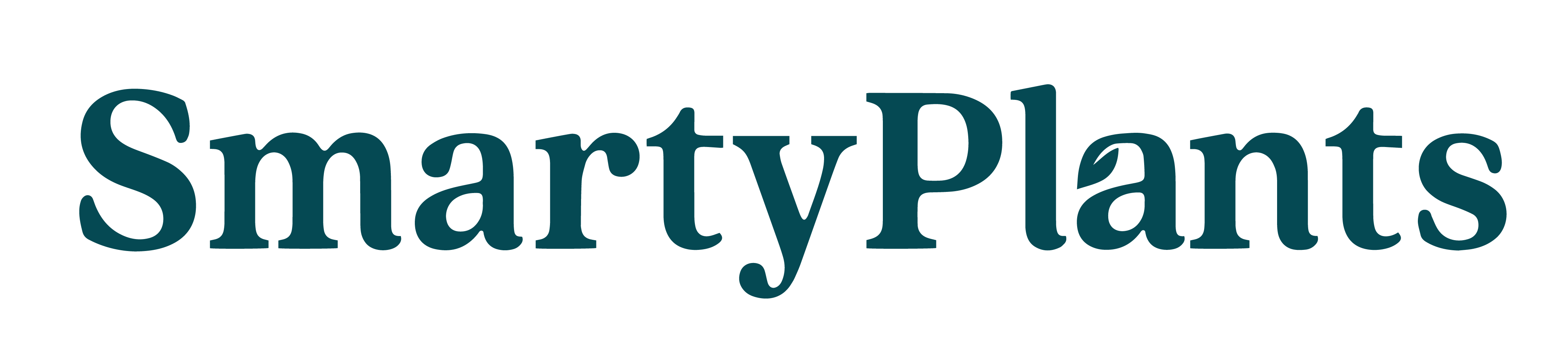 Custom Logo